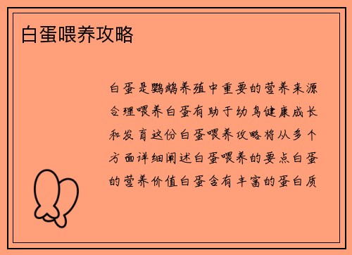 白蛋喂养攻略
